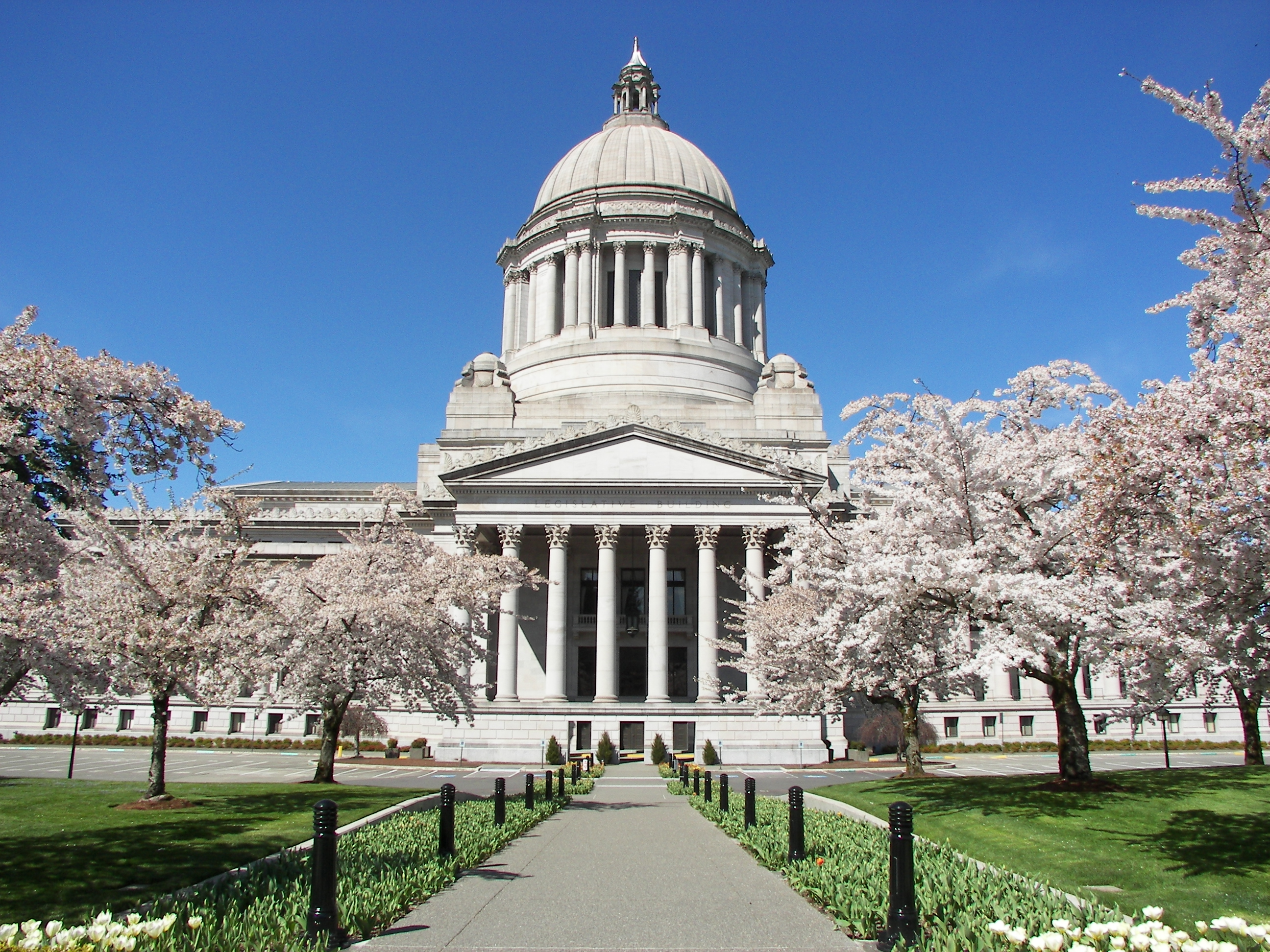 free-washington-state-legal-forms-superior-court-forms
